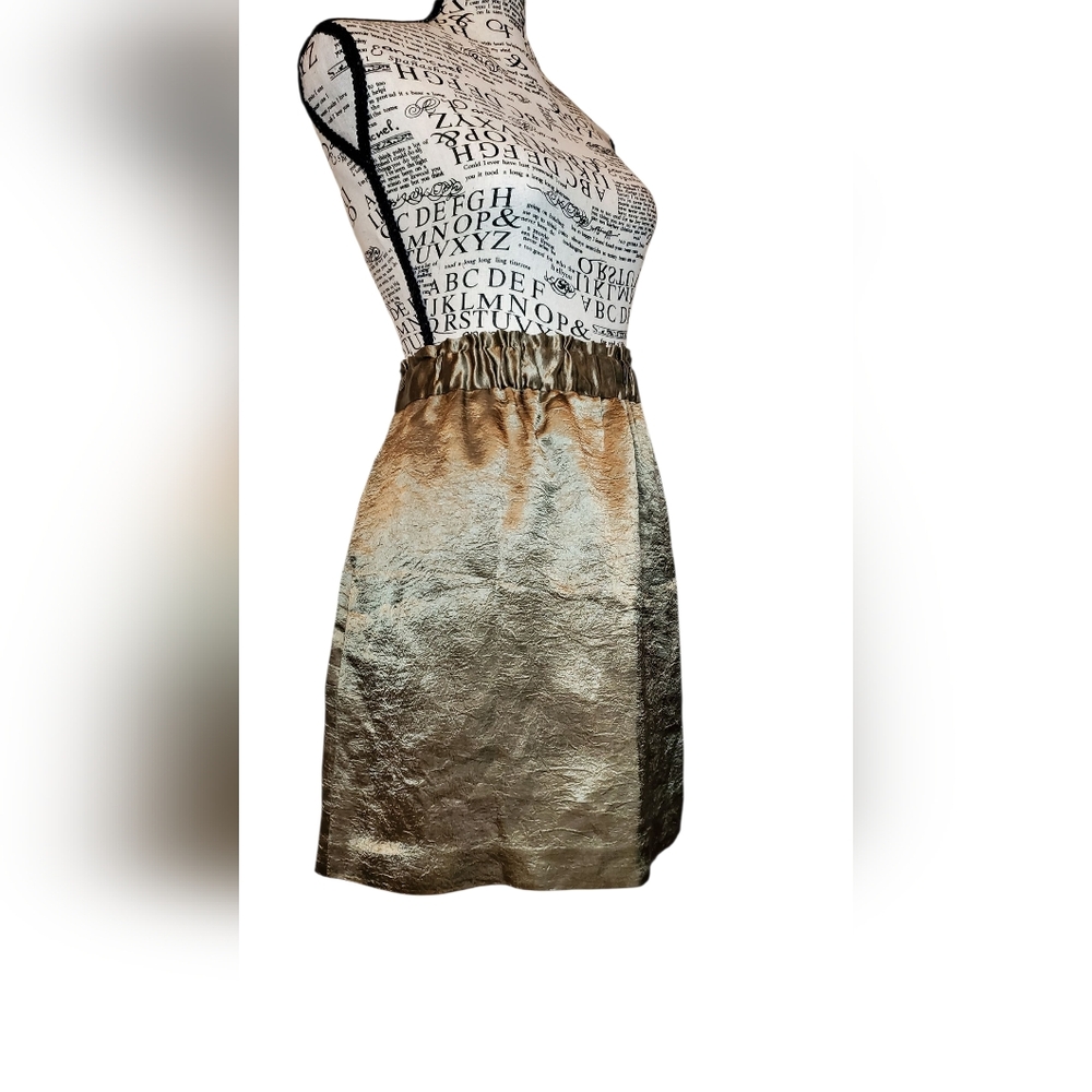 Banana Republic Elegant Gold Metallic Skirt Sise:8